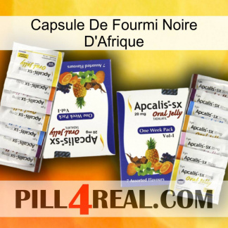 Africa Black Ant Capsule 12